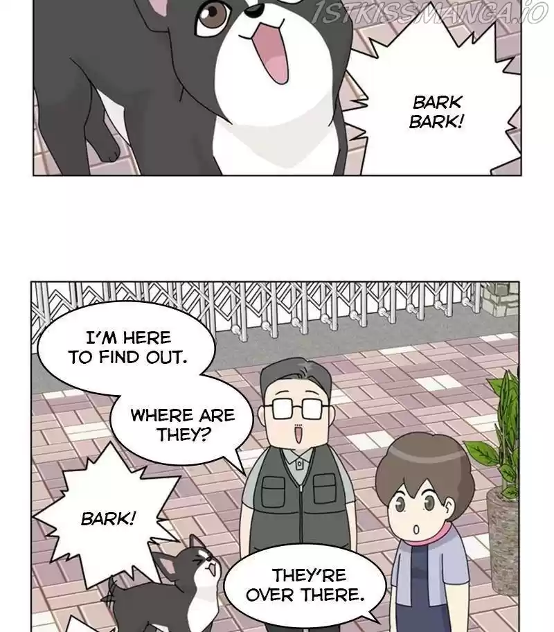 The Dog Diaries Chapter 31