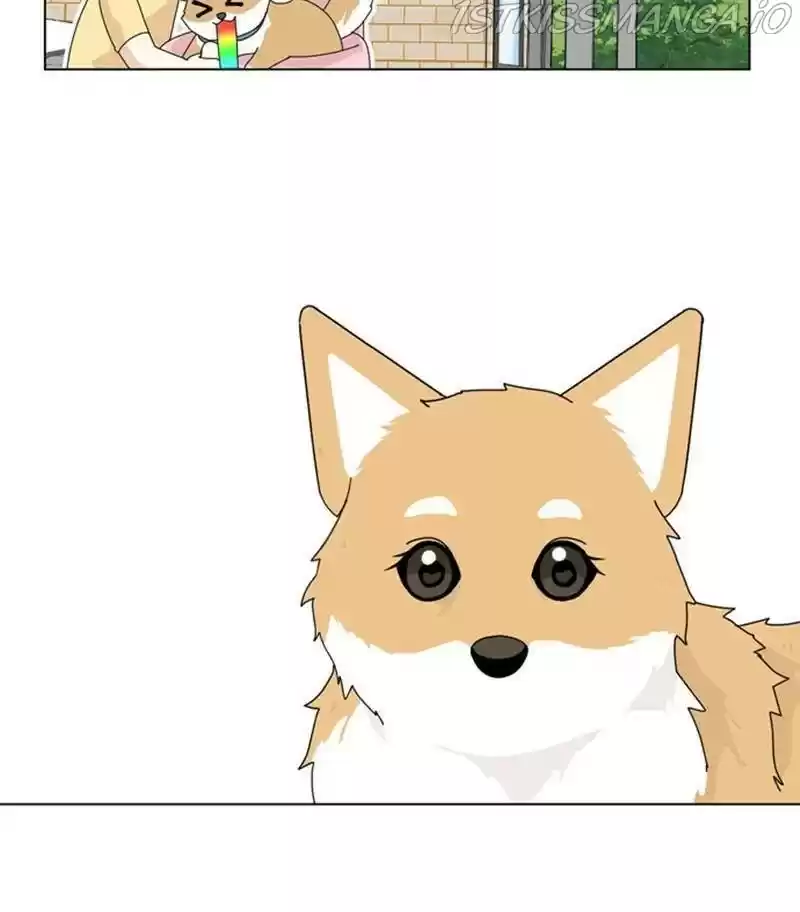 The Dog Diaries Chapter 31