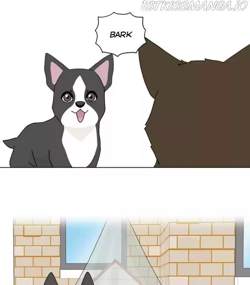 The Dog Diaries Chapter 31