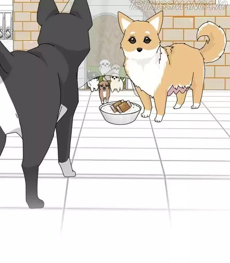 The Dog Diaries Chapter 31