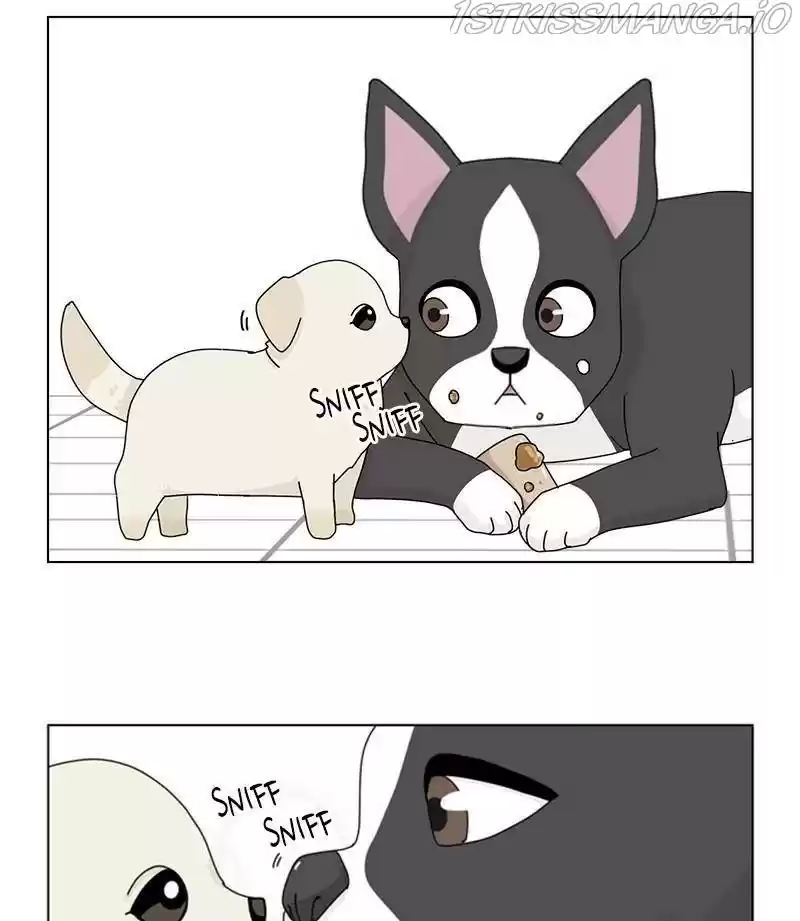 The Dog Diaries Chapter 32