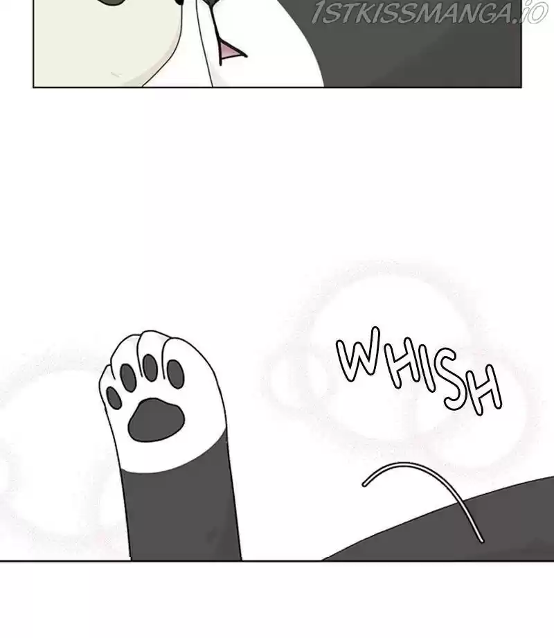 The Dog Diaries Chapter 32