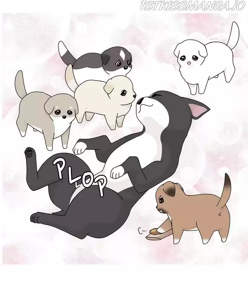 The Dog Diaries Chapter 32