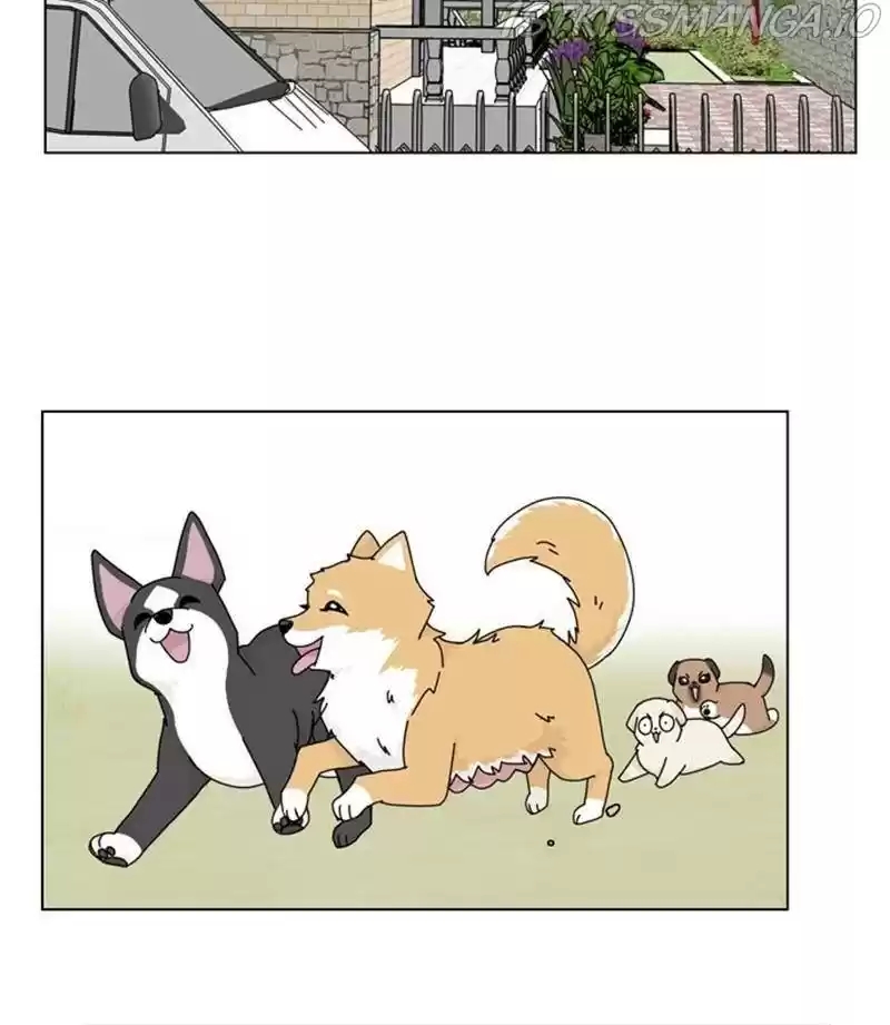 The Dog Diaries Chapter 32