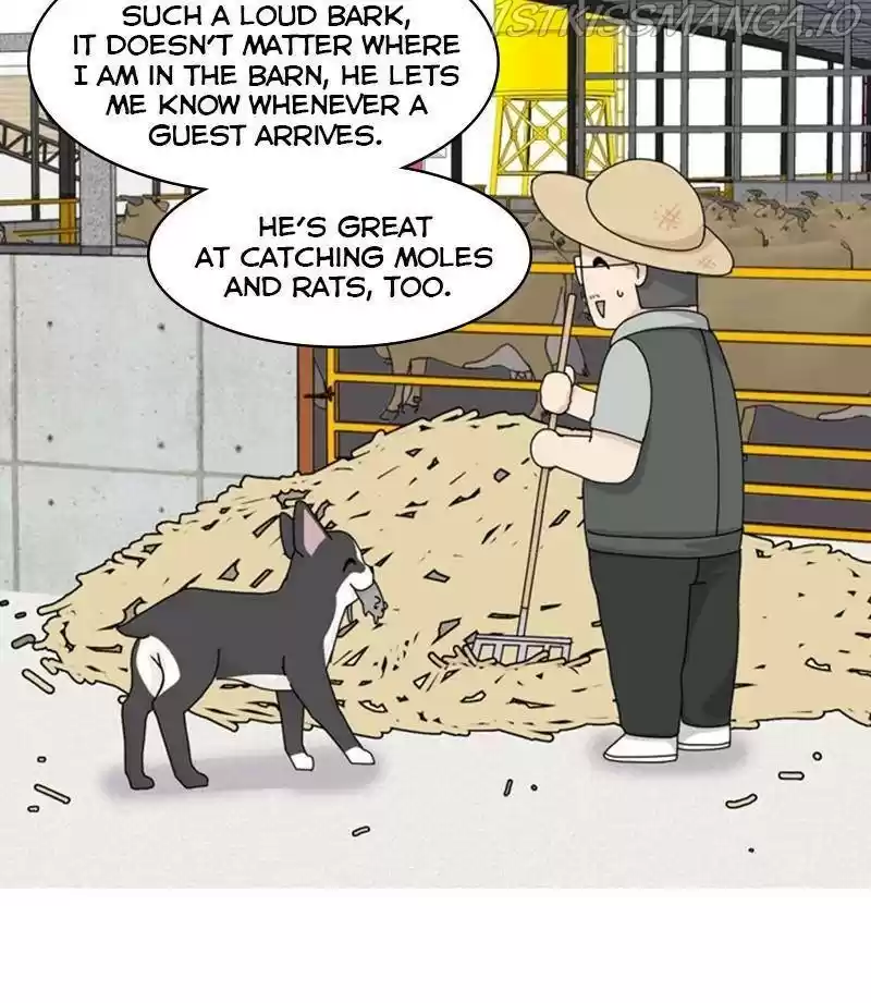 The Dog Diaries Chapter 32