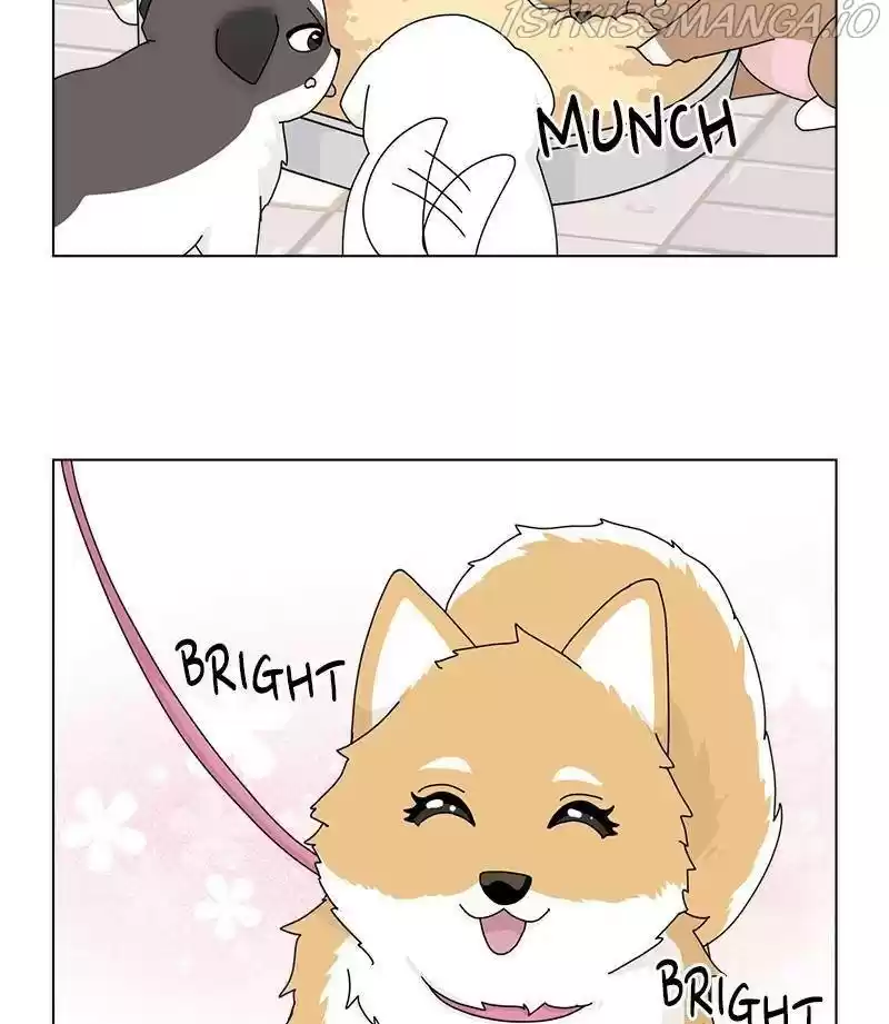 The Dog Diaries Chapter 32