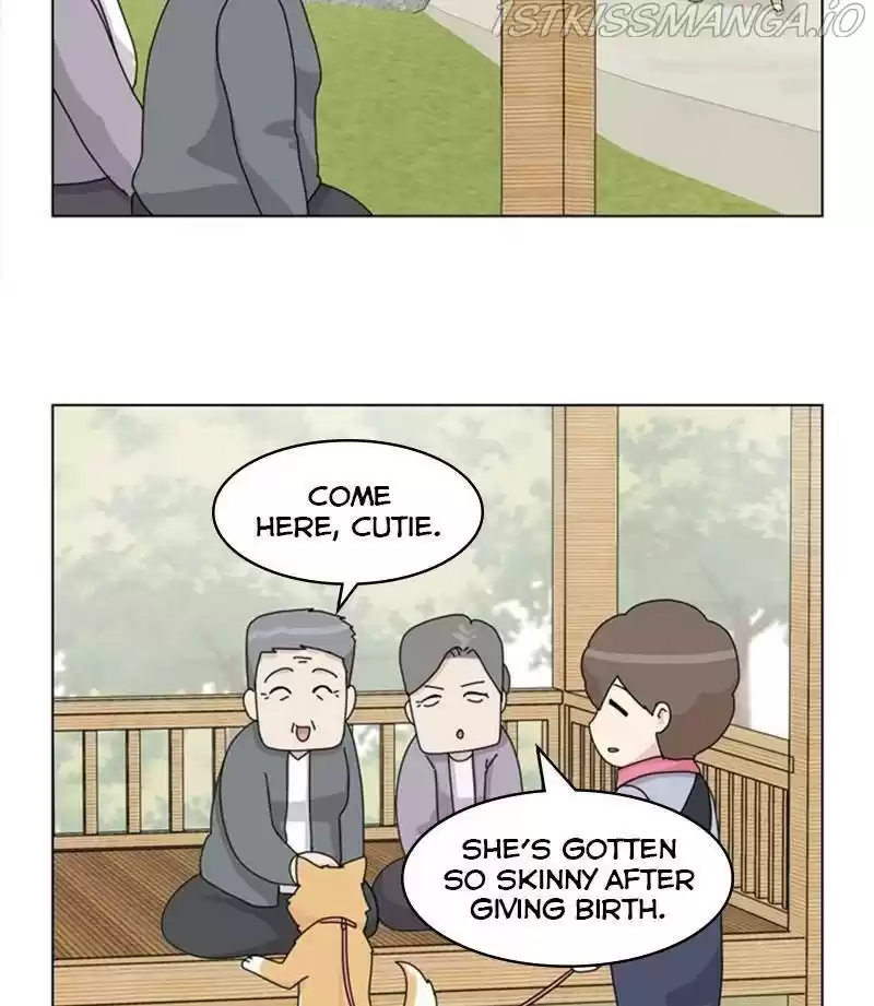 The Dog Diaries Chapter 32