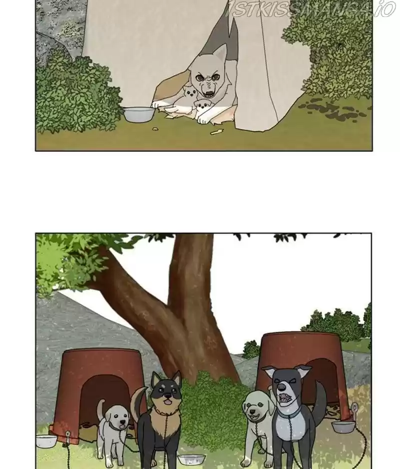 The Dog Diaries Chapter 32