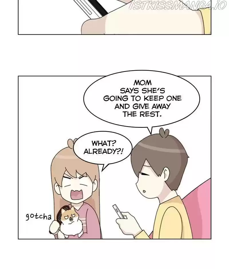 The Dog Diaries Chapter 32