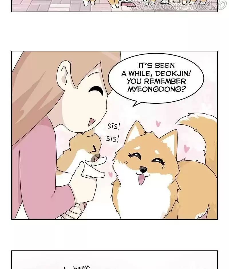 The Dog Diaries Chapter 32