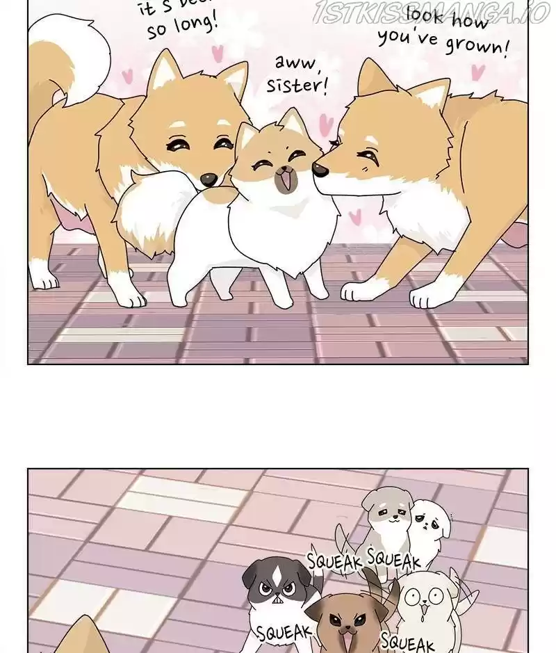 The Dog Diaries Chapter 32