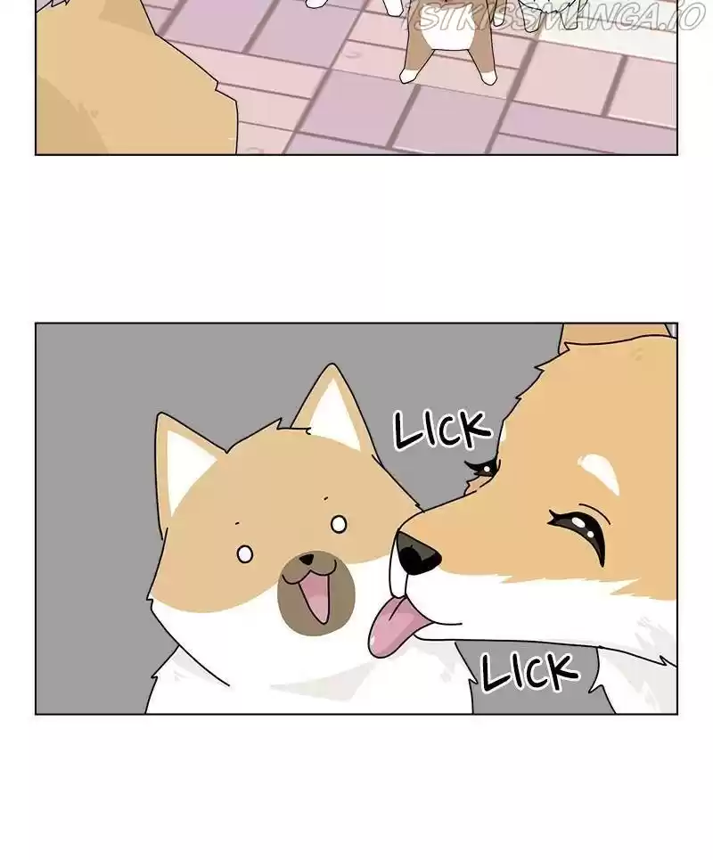 The Dog Diaries Chapter 32