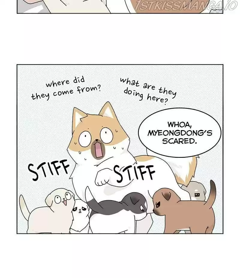 The Dog Diaries Chapter 33