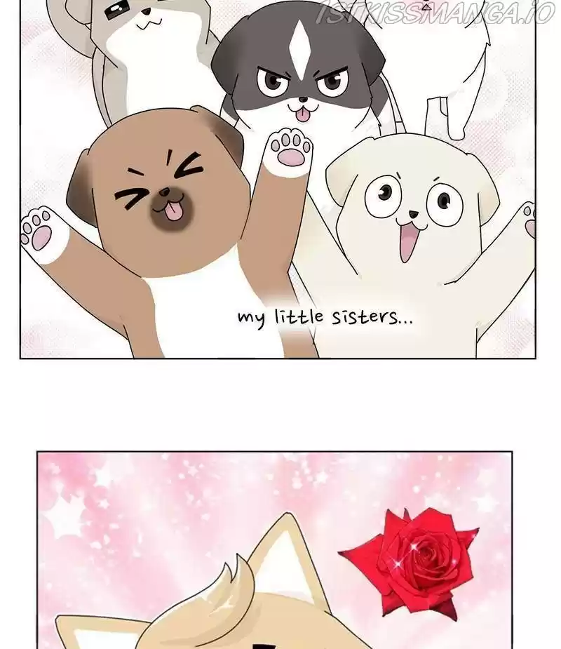 The Dog Diaries Chapter 33