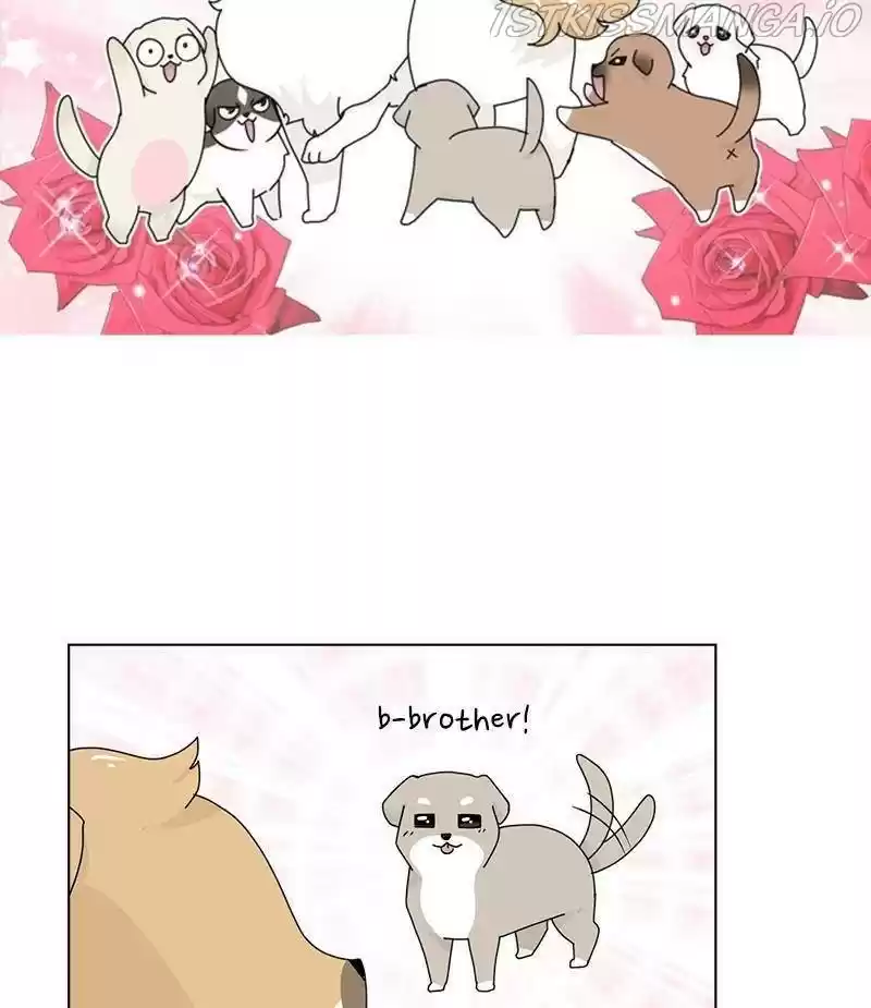 The Dog Diaries Chapter 33