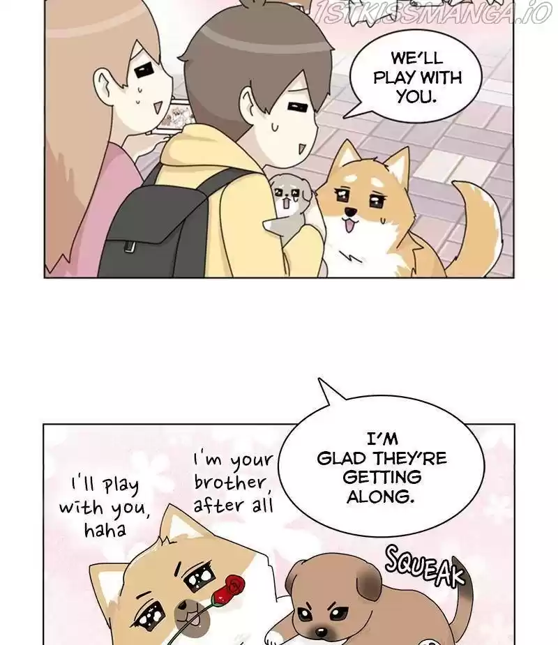 The Dog Diaries Chapter 33