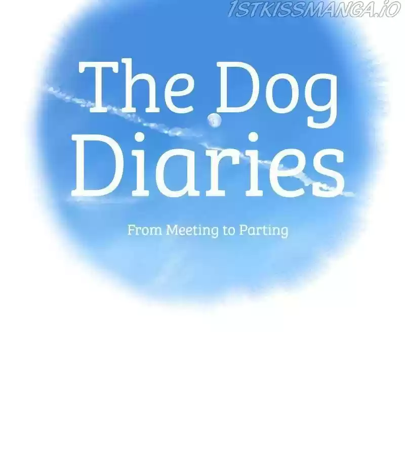 The Dog Diaries Chapter 33