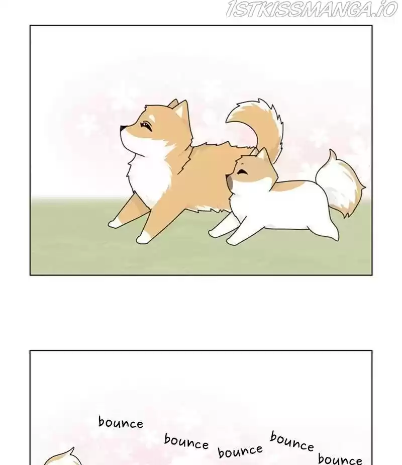 The Dog Diaries Chapter 33