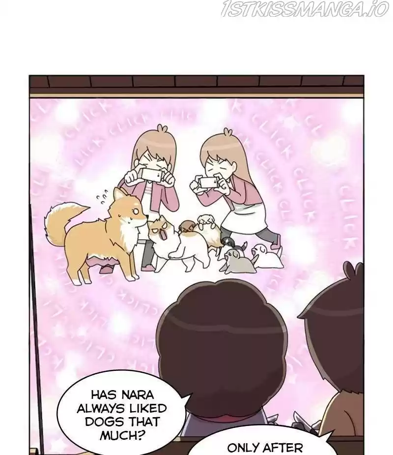 The Dog Diaries Chapter 33