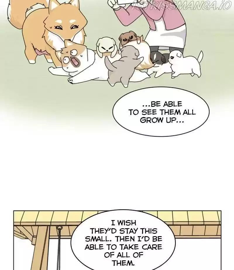 The Dog Diaries Chapter 33