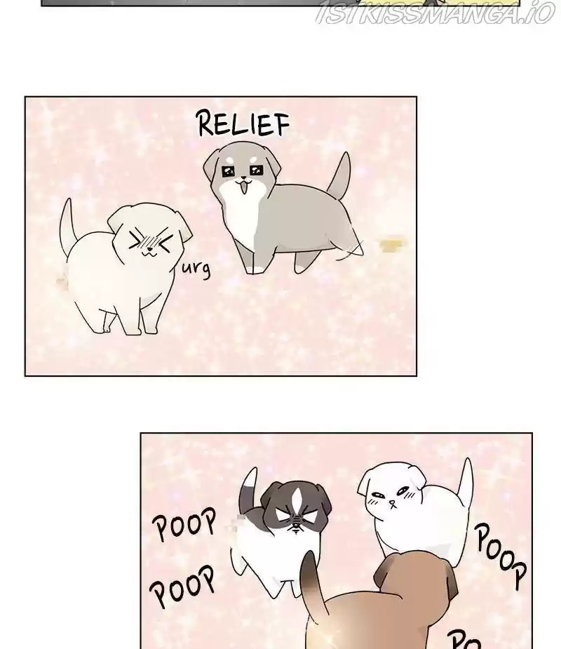The Dog Diaries Chapter 33