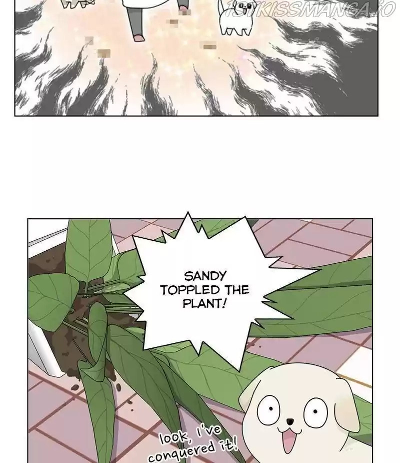 The Dog Diaries Chapter 33