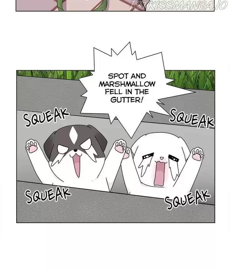 The Dog Diaries Chapter 33