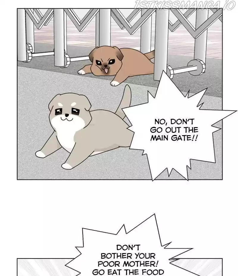 The Dog Diaries Chapter 33