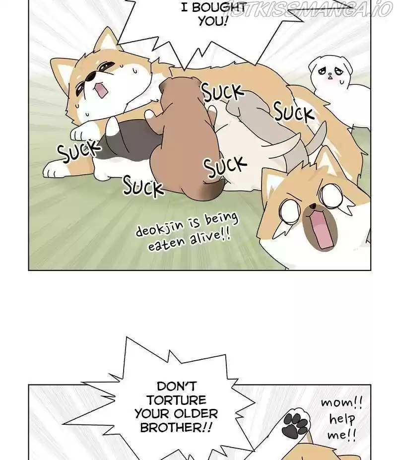 The Dog Diaries Chapter 33