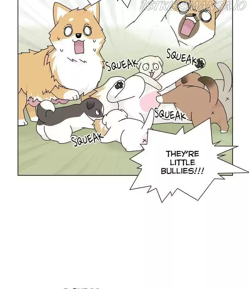 The Dog Diaries Chapter 33