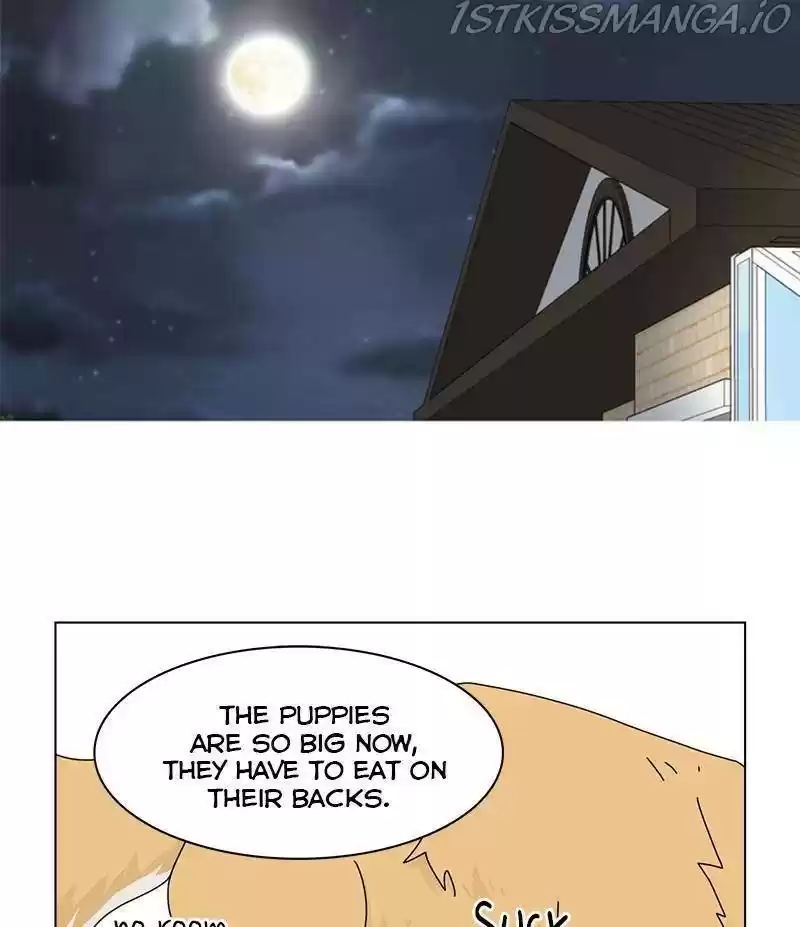 The Dog Diaries Chapter 33
