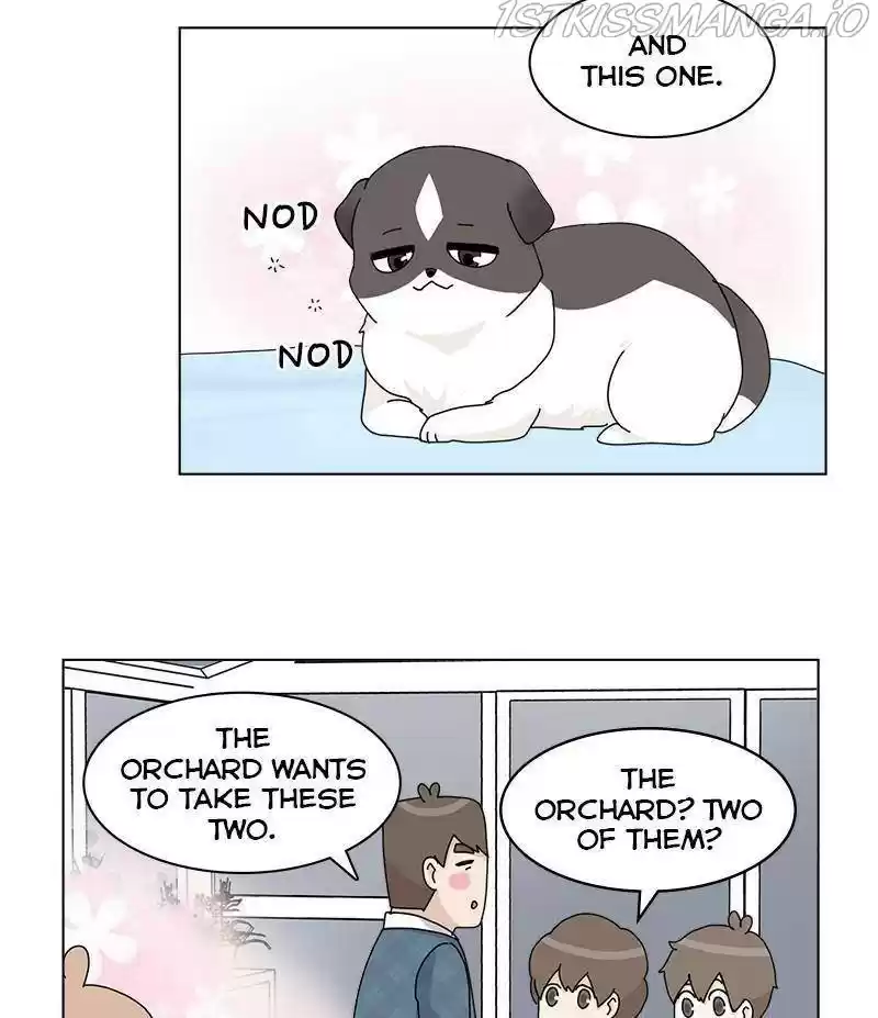 The Dog Diaries Chapter 33