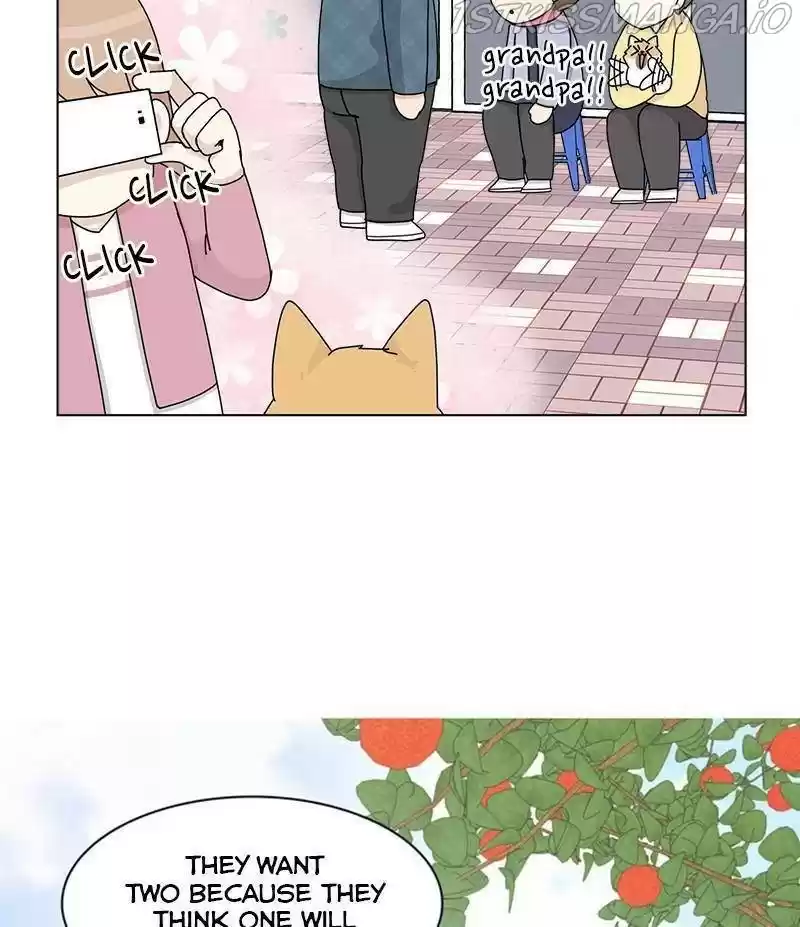 The Dog Diaries Chapter 33