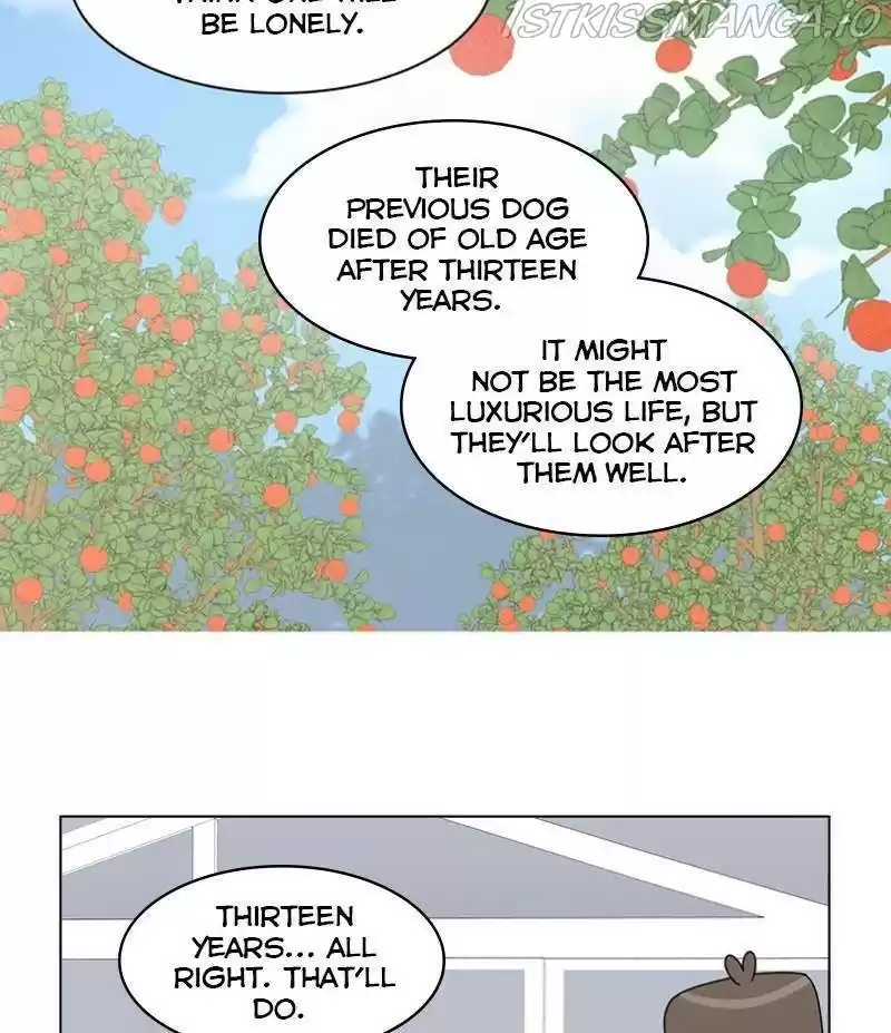 The Dog Diaries Chapter 33