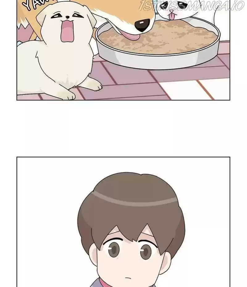 The Dog Diaries Chapter 33