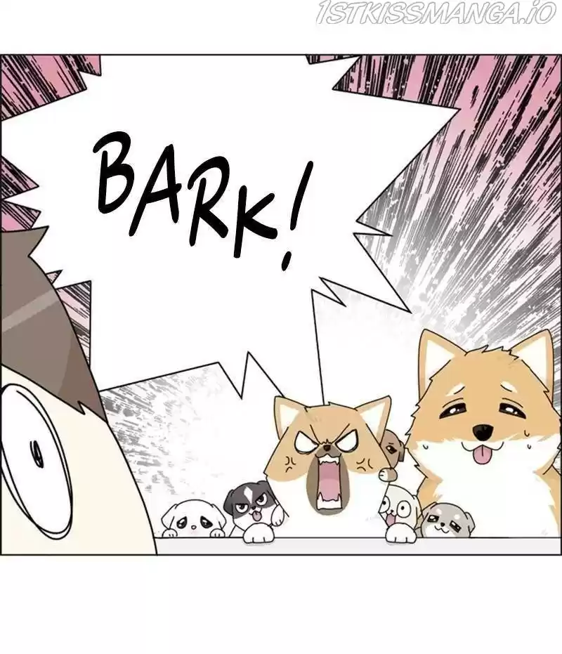 The Dog Diaries Chapter 33