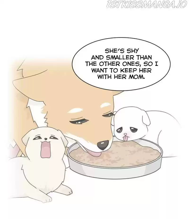 The Dog Diaries Chapter 34