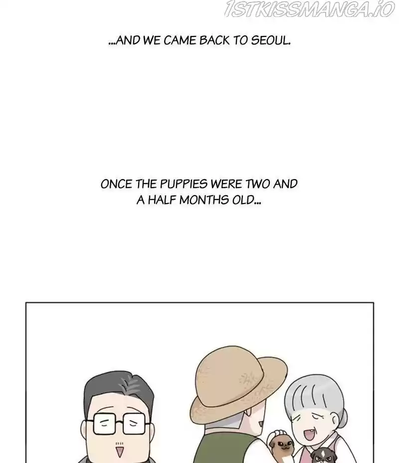 The Dog Diaries Chapter 34