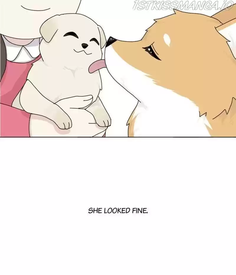 The Dog Diaries Chapter 34