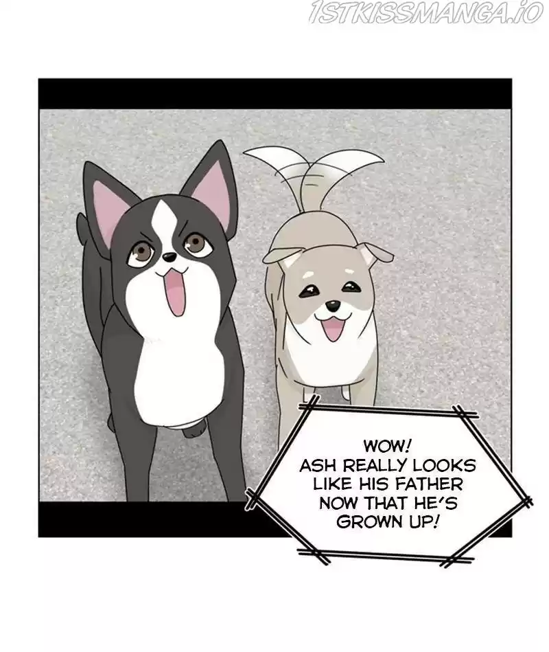 The Dog Diaries Chapter 34