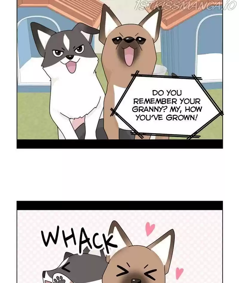 The Dog Diaries Chapter 34