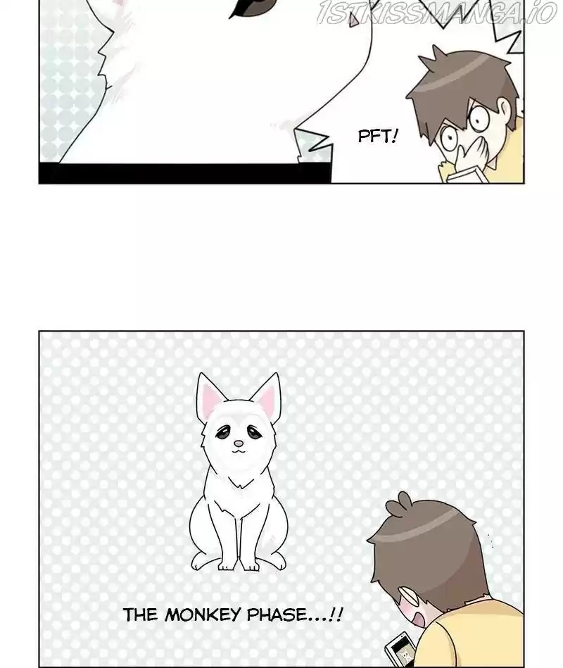 The Dog Diaries Chapter 34