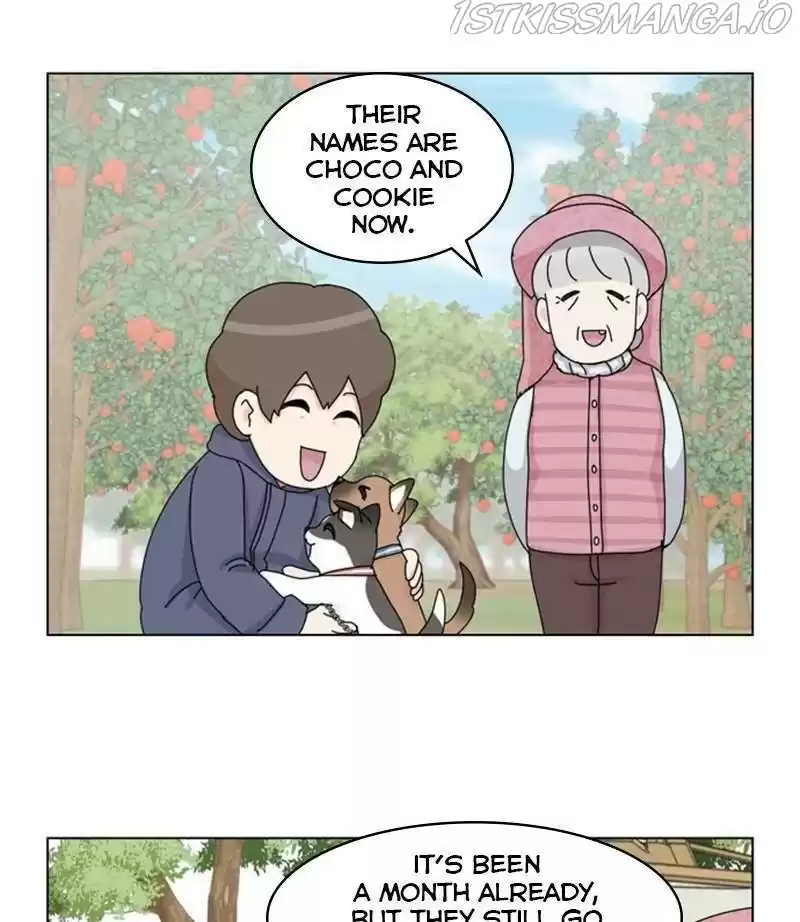 The Dog Diaries Chapter 35