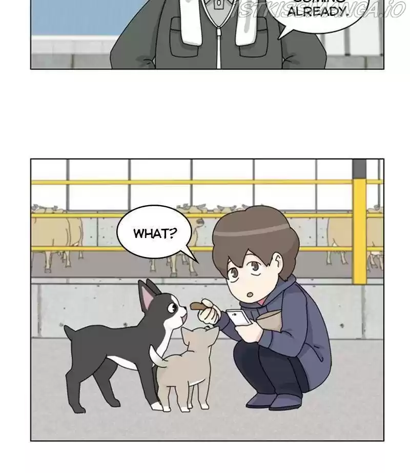 The Dog Diaries Chapter 35