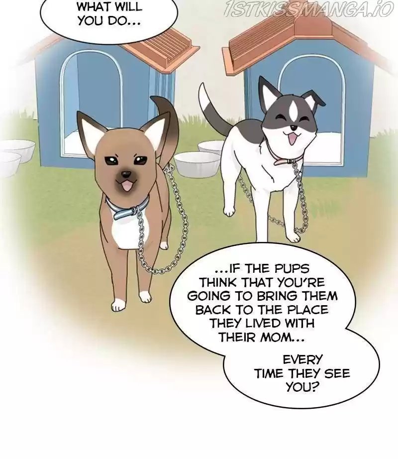 The Dog Diaries Chapter 35