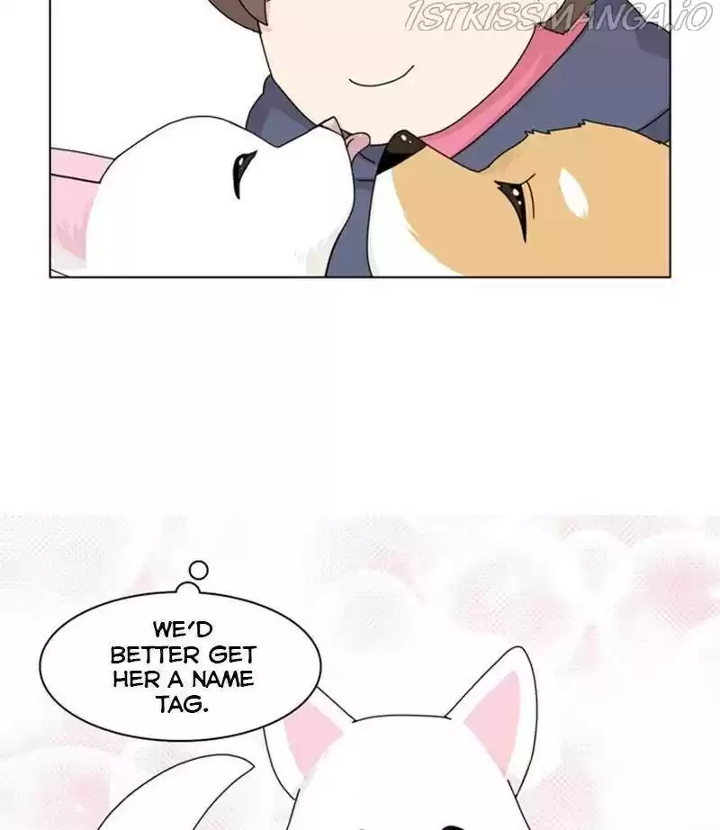 The Dog Diaries Chapter 35