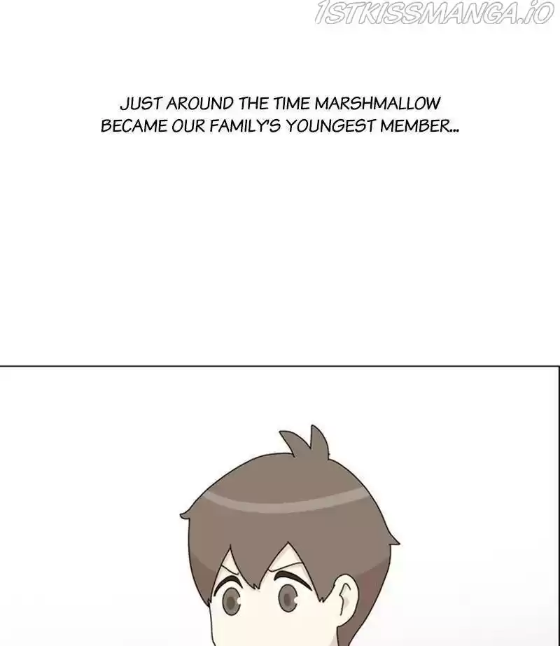 The Dog Diaries Chapter 35