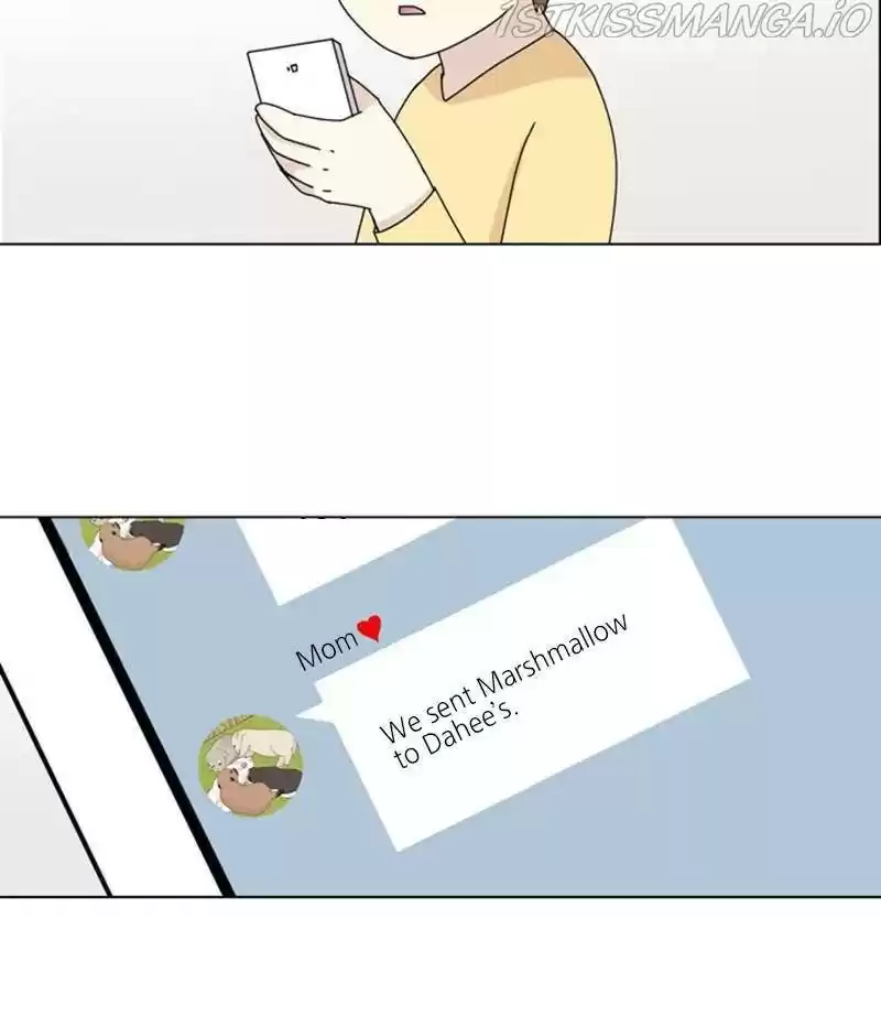 The Dog Diaries Chapter 35