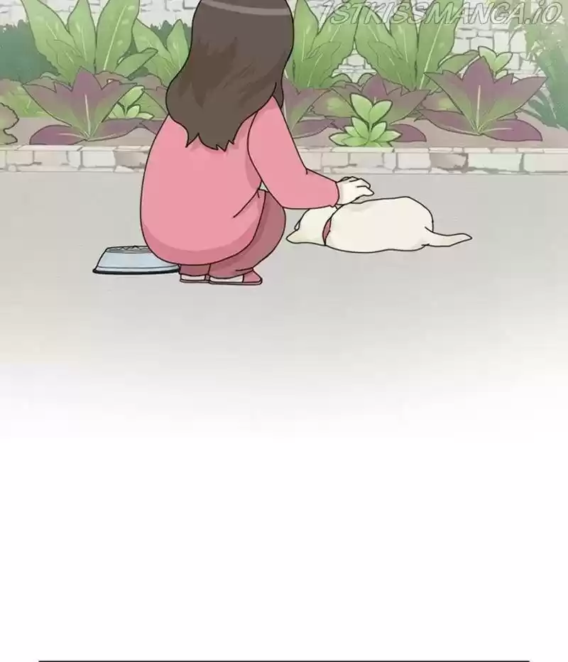 The Dog Diaries Chapter 35