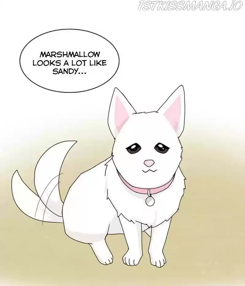 The Dog Diaries Chapter 35